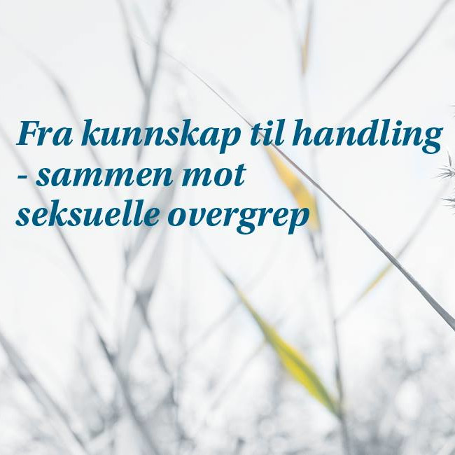 Foto i gråtoner. Fotoet er nærbilde av en åker. Vi ser spredte kornstrå med gule detaljer i det grå. Over bildet står en tekst i blå skrift: "Fra kunnskap til handling -- sammen mot seksuelle overgrep"